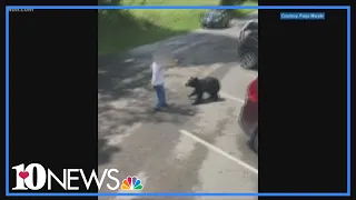 No punishment for man who approached bears