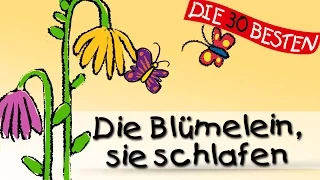 Die Blümelein, sie schlafen - Die besten Schlaflieder || Kinderlieder