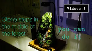 Stone steps in the middle of the forest-Terrarium