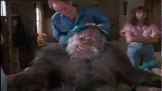 Disney Cinemagic Spain - BIGFOOT Y LOS HENDERSON (HARRY AND THE HENDERSONS) - Promo