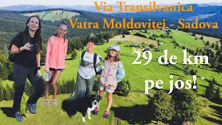 La doar 6 ani pe Via Transilvanica, cum s-a descurcat? | Am mâncat la Stână serviți de Ciobani