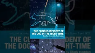 The Curious Incident of the Dog in the Night Time by Mark Haddon | Summary and Critique