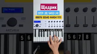 NK - ЩЕДРИК  /Piano Tutorial #shorts #tutorial #easy