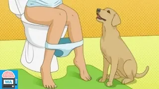 Your dog follows you to the toilet? That is what it means!