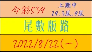 今彩539 『尾數版路』上期中29.3尾.9尾【2022年8月22日(一)】肉包先生