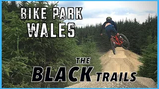 Bike Park Wales | The EXPERT Trails inc Enter the dragon