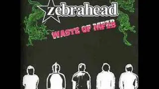 Zebrahead - Wannabe  (spice girls cover) with lyrics in description