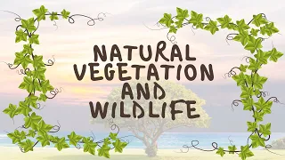 NATURAL VEGETATION AND WILDLIFE | CLASS 9 | GEOGRAPHY | CHAPTER 5