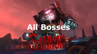 All Bosses (Heroic) | Shadow Warrior