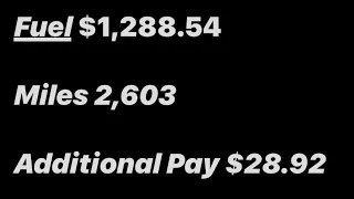 paycheck 🎯 review "👀" @hurricaneexpressinc.3550 💯 #money #389 #guaranteed #2k #boss #lease #youtube