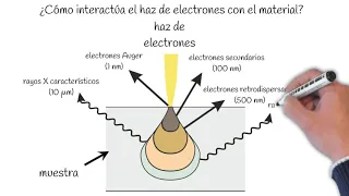 Microscopía electrónico de barrido