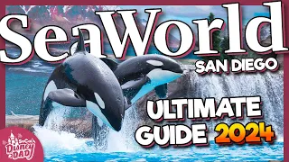 SeaWorld San Diego 2024 Guide | Tips, Exhibits, Rides, Shows & More