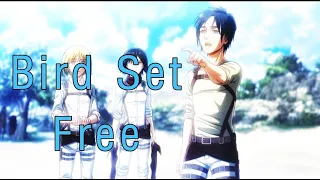 Eren Yeager - Bird Set Free [AMV]