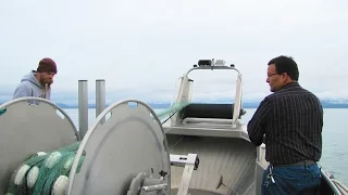 Copper River Salmon In Cordova, Alaska