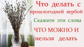 25 апреля Вербное Воскресенье. В чем сила вербы, какие слова сказать в Вербное воскресенье ?