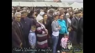 VAŠAR: Delimedje 2014