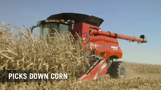 Case IH 4400 Narrow Row Corn Header