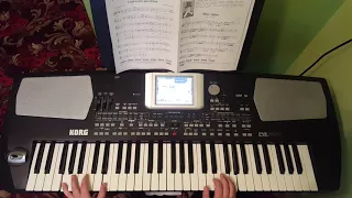 Czerwona Jarzębina Korg PA 500 KEYBOARD