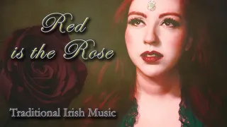 Irish Music - Red is the Rose (Cover by Aline Happ)