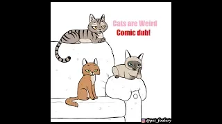 Cats Being Weird (Adorable Animal Comics) By Pet Foolery Comic Dub