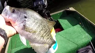 How To Make Inactive Crappie Bite