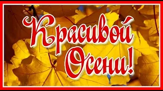 "Красивой Осени!" - Красивая мелодия для души Сергея Чекалина