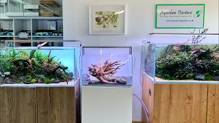 Nature Aquarium Aquascape Workshop at Aquarium Gardens