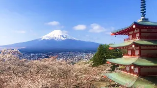 【富士山旅】新倉山浅間公園から見る最高の景色とたまらん絶景がそこにある！