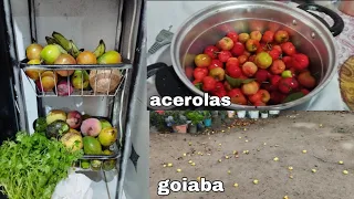 #sitio tantas frutas que não estamos vencendo, dar pena