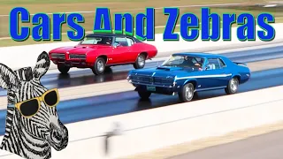 1969 Cougar Cobra Jet vs 1969 GTO Ram Air | STOCK DRAG RACE | CARS AND ZEBRAS