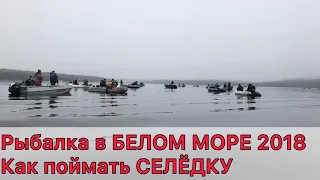 МОРСКАЯ РЫБАЛКА в Белом море 2018. Как поймать СЕЛЁДКУ