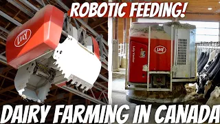 Touring A Dairy With A Robotic Feeding System!