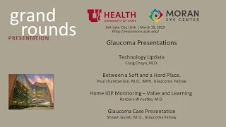 Grand Rounds Presentations: Glaucoma