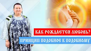 С чего начинается любовь | Принцип подобное к подобному | Арина Никитина