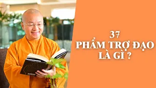 37 phẩm trợ đạo là gì ? | TT. Thích Nhật Từ