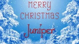 Merry Christmas Juniper! A special message just for you.