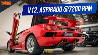 LENDÁRIA Lamborghini DIABLO V12 ACELERANDO até o LIMITE no dino e nos DETALHES - AvantGarde