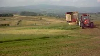 Fiat 110-90 Turbo Cutting Silage