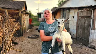 LIFE in the remote village in Ukraine. Cooking dumplings