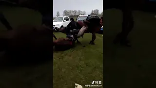 Көкпар тартыс 2019. Кокбори 🐎😱