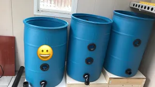 DIY 3-Barrel Filter System for Koi Pond