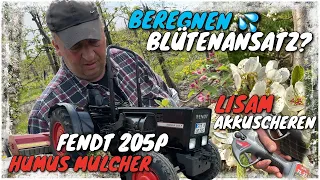 Obsthof Raddatz - FENDT 205P | HUMUS Mulcher | Beregnung ausschalten | Blütenansatz Apfel/Birne?