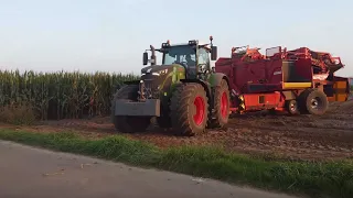 Kartoffelernte 2021 mit 2x Fendt Vario 936 und 2x Grimme Evo 280 Bunkerroder /Hof Sandering/4k