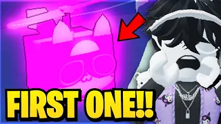 Worlds FIRST Dark Matter HELICOPTER CAT!! | Pet Sim X New UPDATE