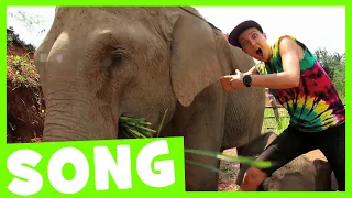 Elephant Dance Song | Maple Leaf Learning