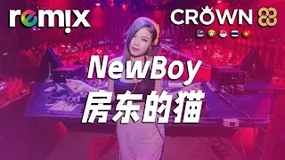 Newboy - 房东的猫『穿新衣吧 剪新發型呀，輕松一下Windows98』【DJ REMIX】⚡Ft. GlcMusicChannel