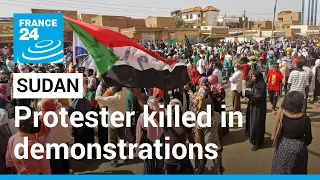 Protester killed in Sudan demonstrations as UN human rights expert visits • FRANCE 24 English