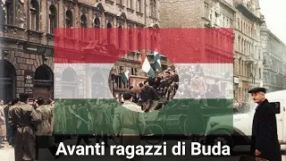 Avanti Ragazzi di Buda (İtalyanca Macar Devrim Şarkısı) Türkçe çeviri