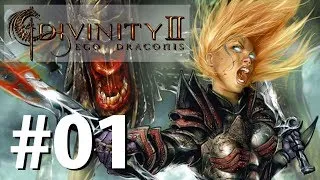 Zagrajmy w Divinity 2: Ego Draconis [#1] Dalekoblask