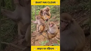 FULL PACKAGE 🤣 | BAAT HAI CLEAR |